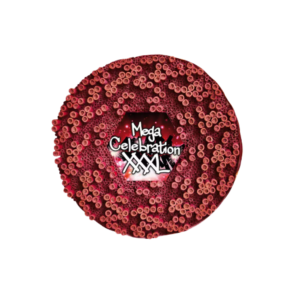 Mega Celebration XXXL Ratelband